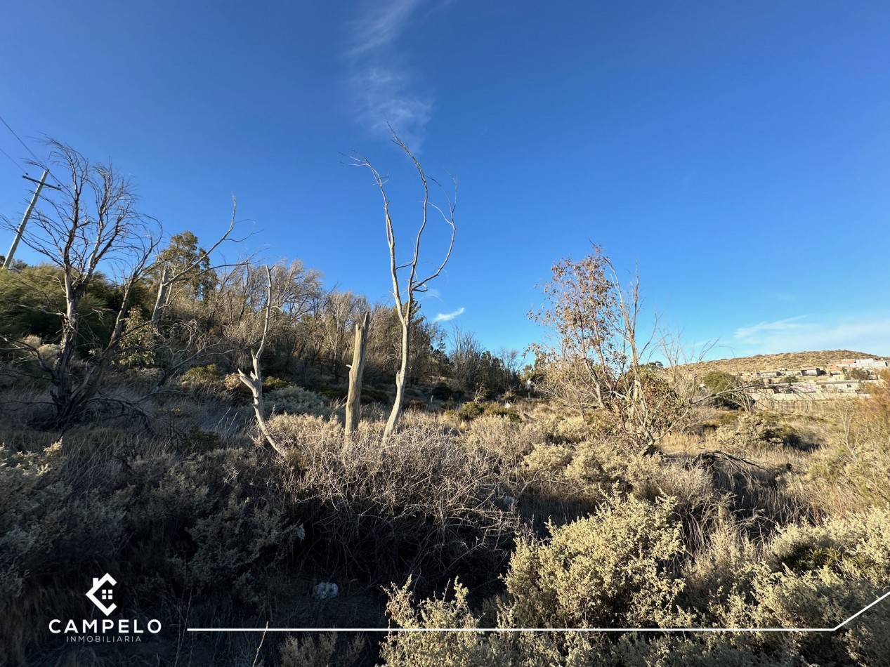 Terreno - Cordon Forestal