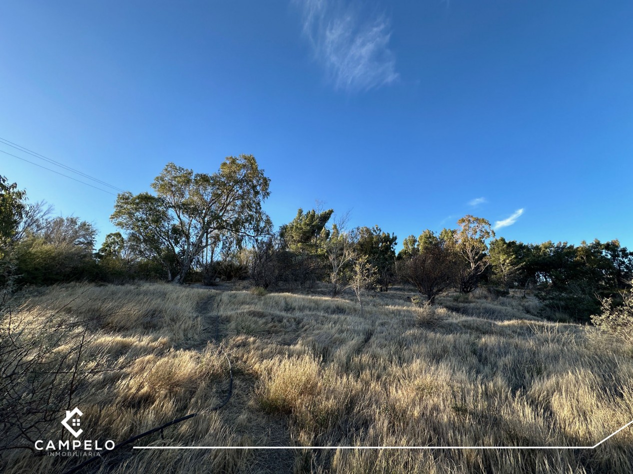 Terreno - Cordon Forestal