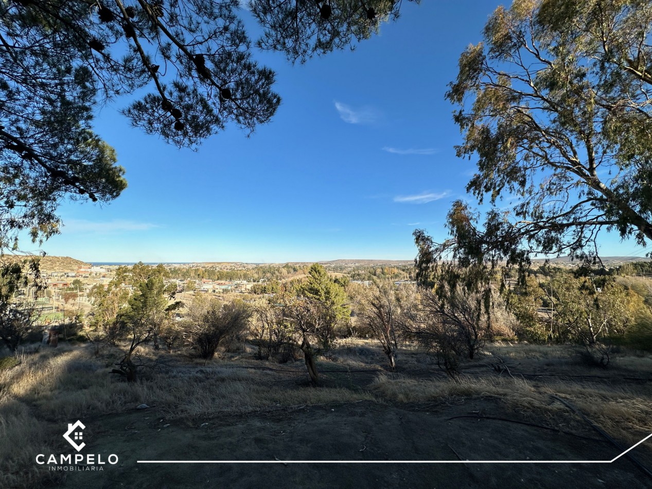 Terreno - Cordon Forestal